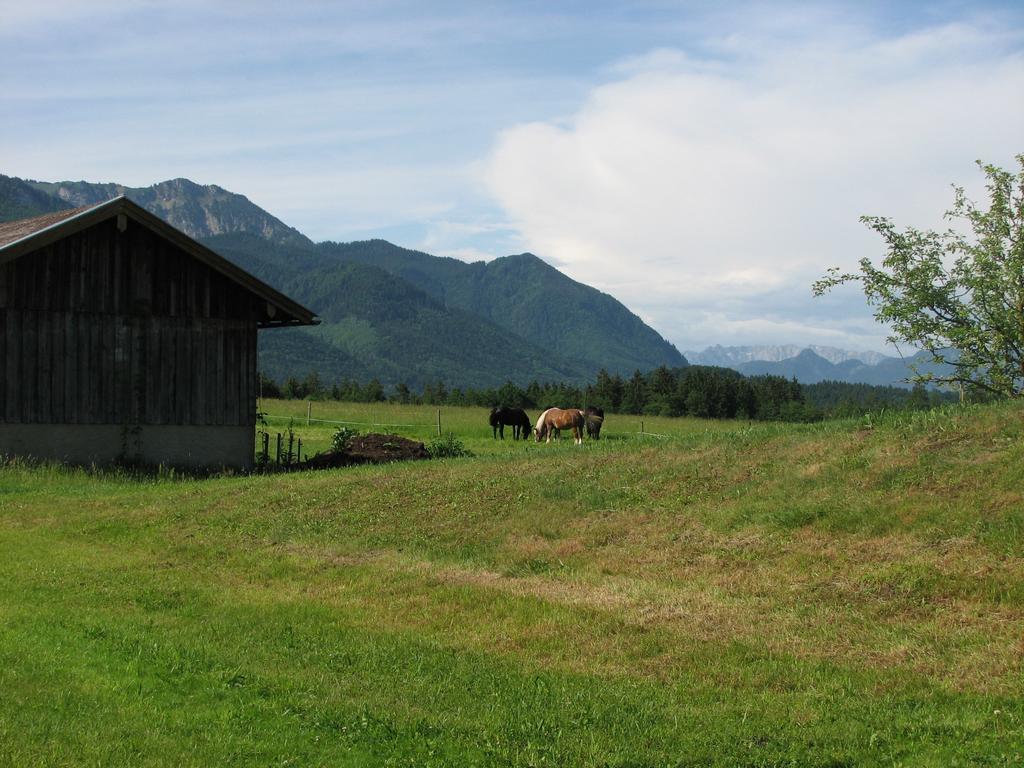 Beim Bicher Grabenstätt Exterior foto